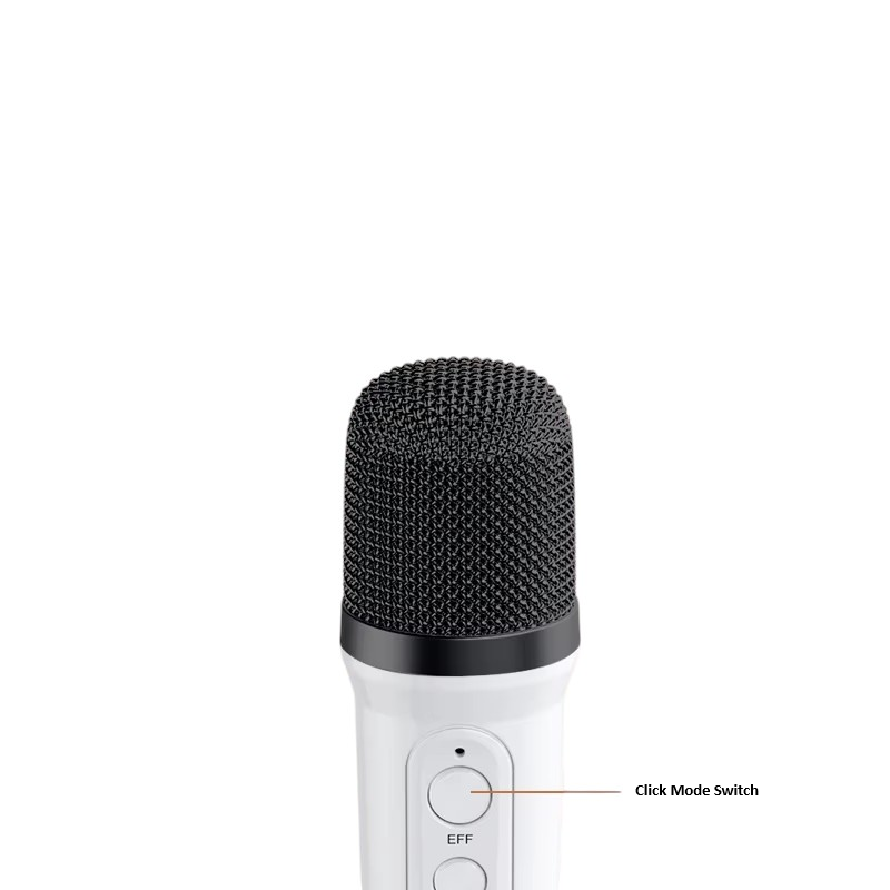 Parlante Karaoke Bluetooth Portatil YS-110 Micrófonos Luces