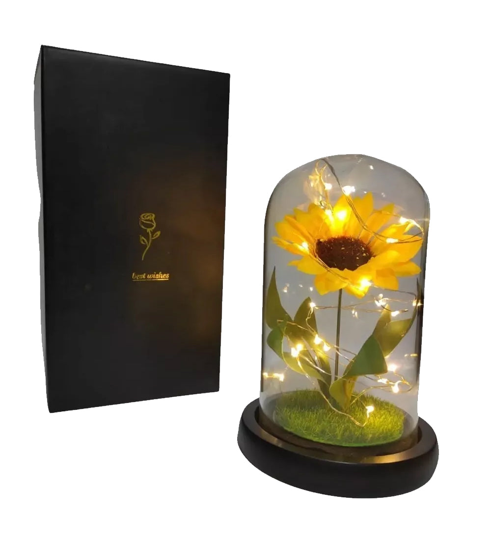 Rosa Eterna Girasol Cupula Vidrio Lampara Led Base Madera