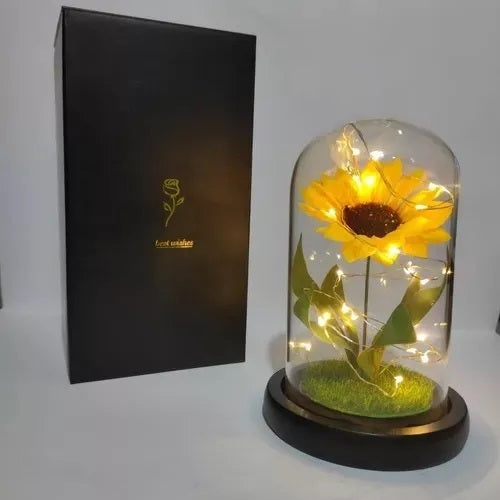 Rosa Eterna Girasol Cupula Vidrio Lampara Led Base Madera