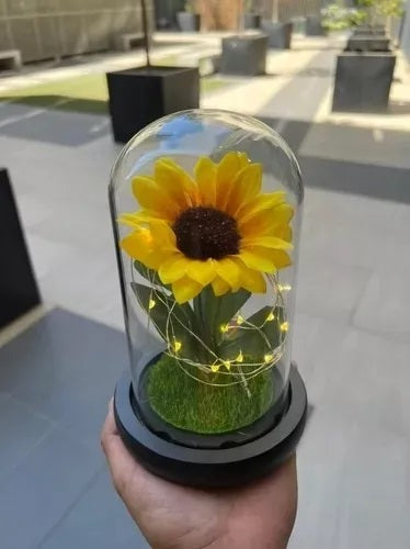 Rosa Eterna Girasol Cupula Vidrio Lampara Led Base Madera