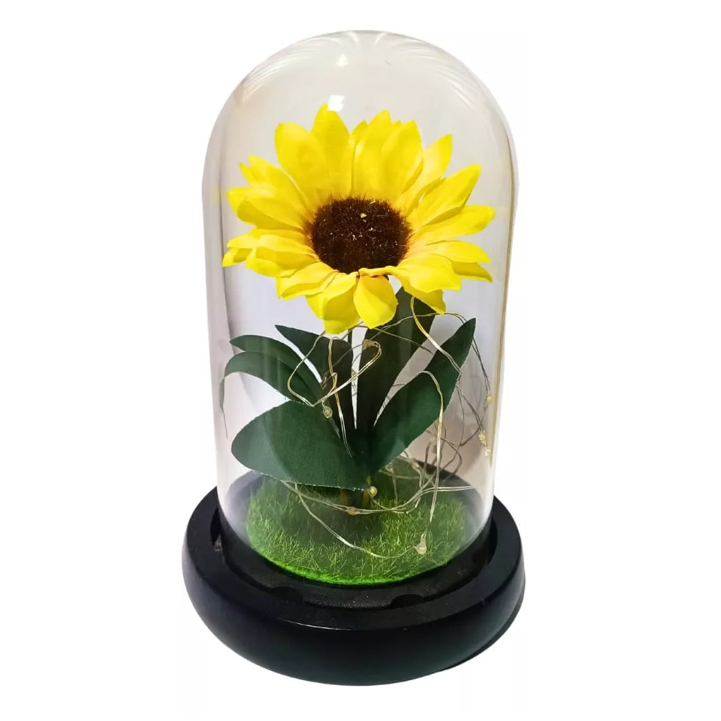 Rosa Eterna Girasol Cupula Vidrio Lampara Led Base Madera