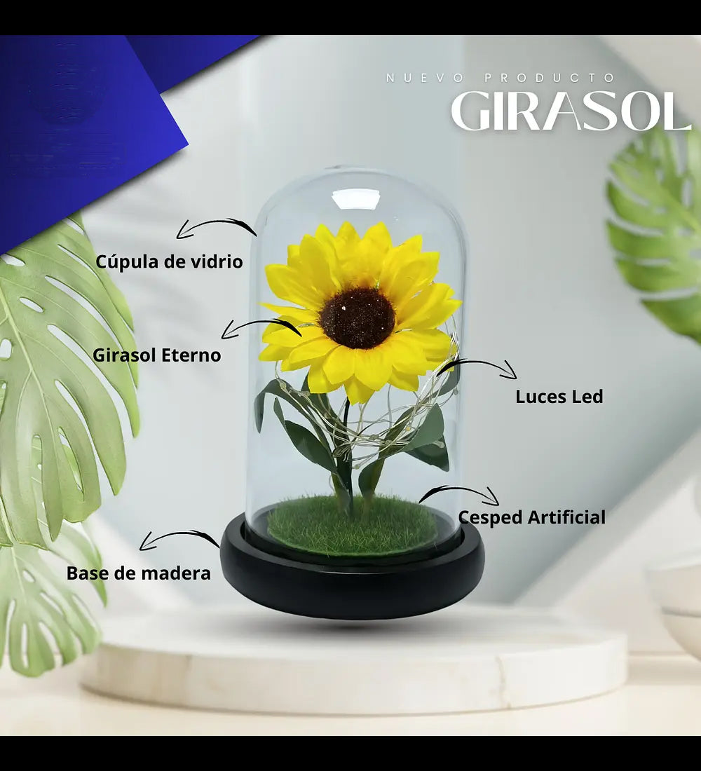 Rosa Eterna Girasol Cupula Vidrio Lampara Led Base Madera