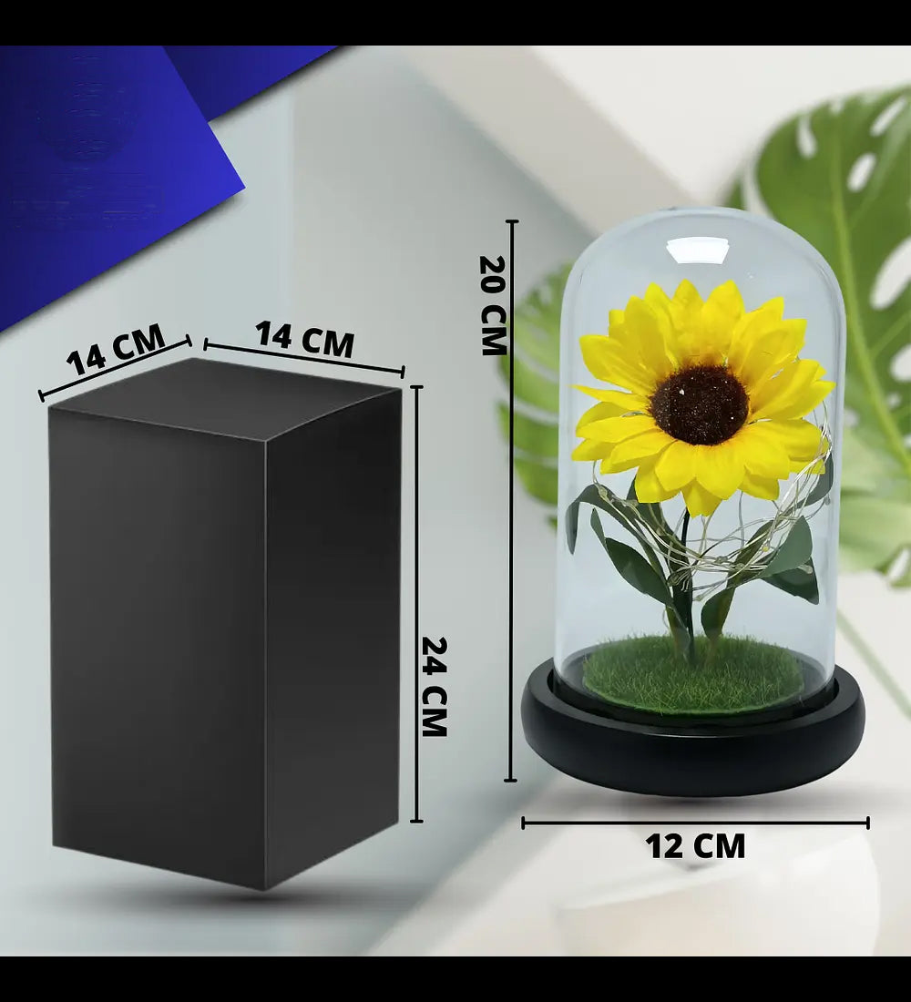 Rosa Eterna Girasol Cupula Vidrio Lampara Led Base Madera