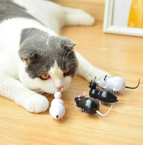 Ratón Robot Eléctrico Pila Incluida Juguete Mascota Gato