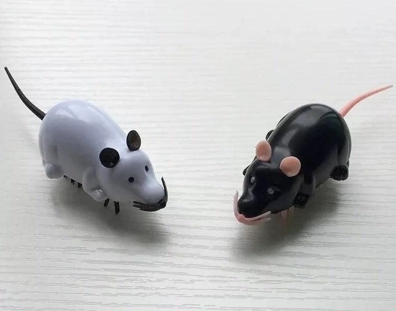 Ratón Robot Eléctrico Pila Incluida Juguete Mascota Gato