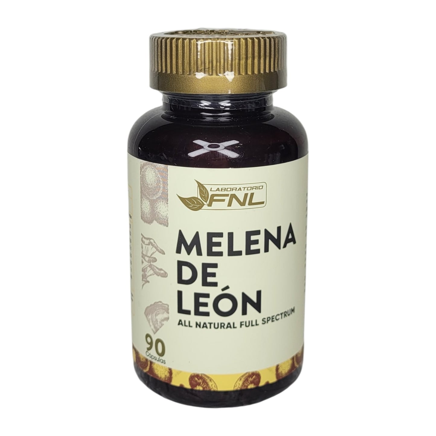 Suplemento Melena León FNL Natural Enfoque Concentrado Mente