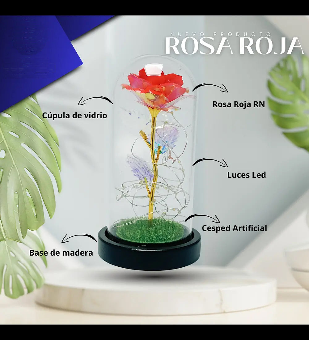 Rosa Eterna Roja Cupula Vidrio Lampara Led Base Madera