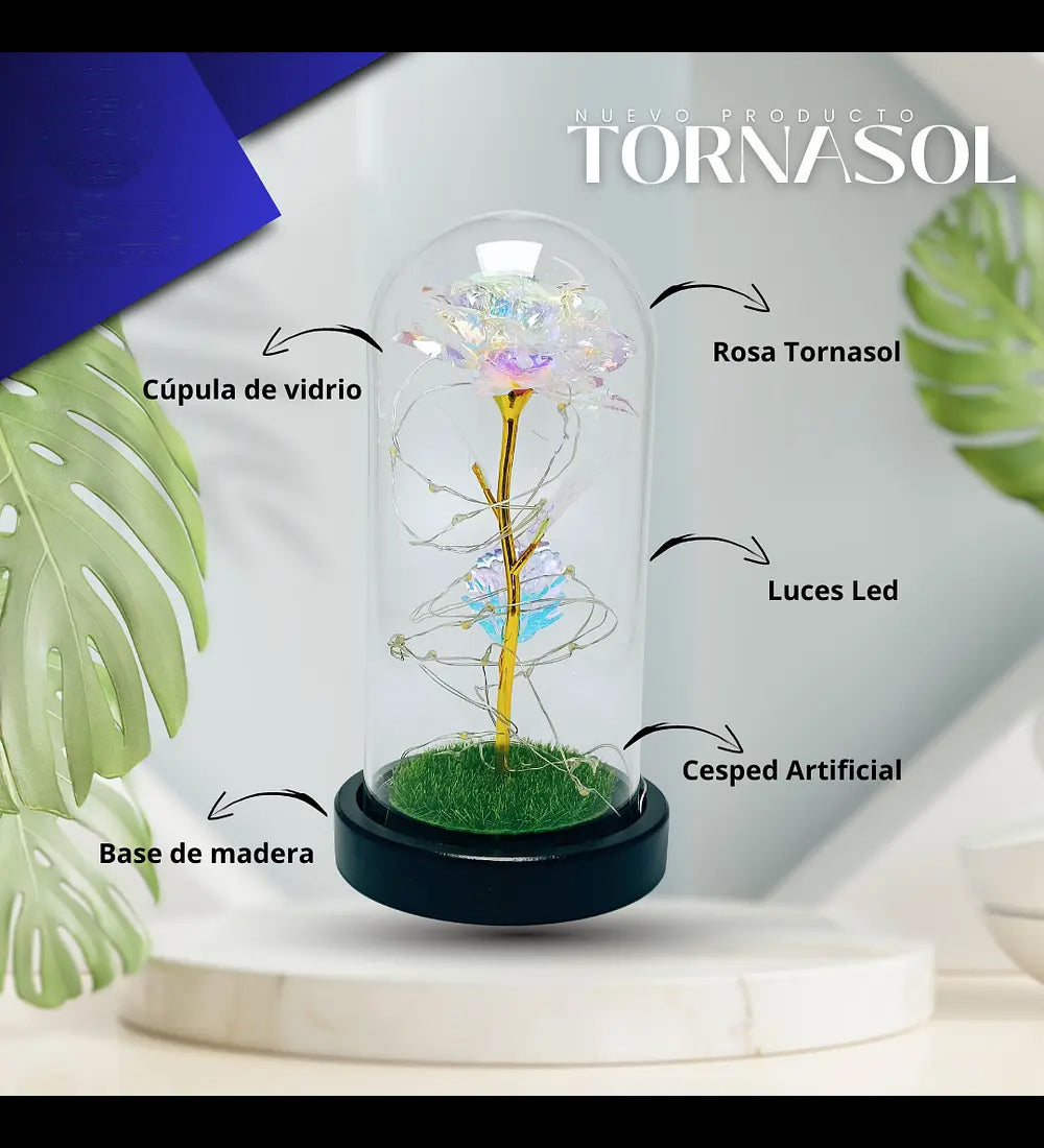 Rosa Eterna Tornasol Cupula Vidrio Lampara Led Base Madera